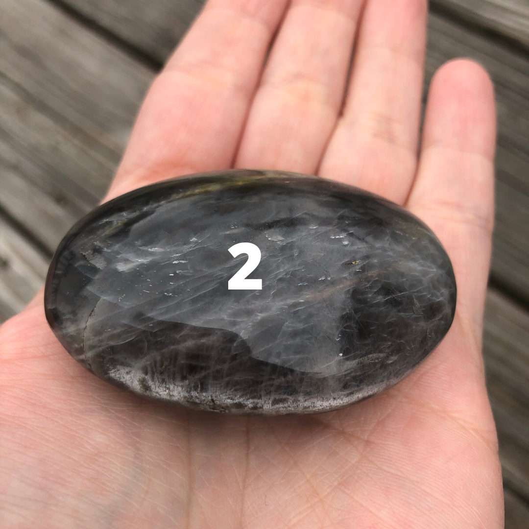 Black Moonstone Palm Stone